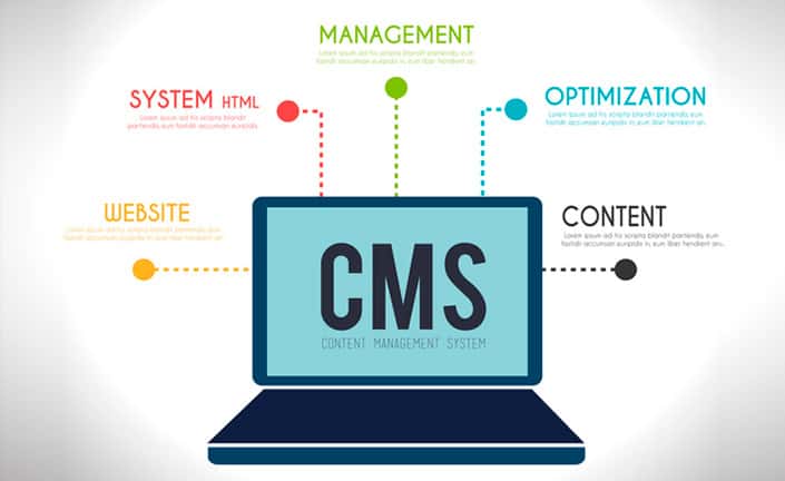 Content management systems allow you to manage content and optimize your website.